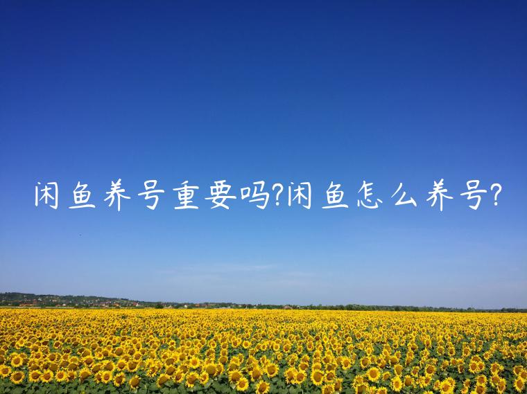 閑魚養(yǎng)號(hào)重要嗎?閑魚怎么養(yǎng)號(hào)?